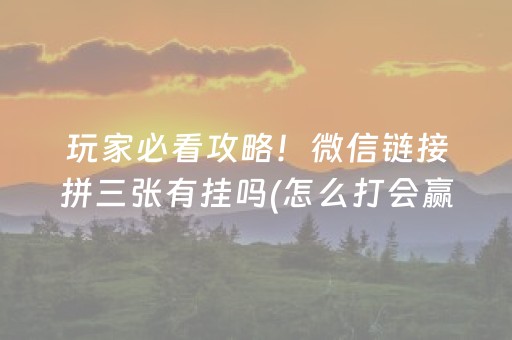 玩家必看攻略！微信链接拼三张有挂吗(怎么打会赢)
