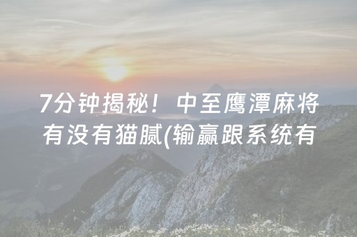 7分钟揭秘！中至鹰潭麻将有没有猫腻(输赢跟系统有关系吗)