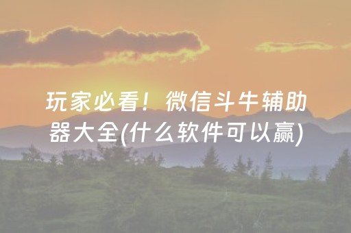 玩家必看！微信斗牛辅助器大全(什么软件可以赢)