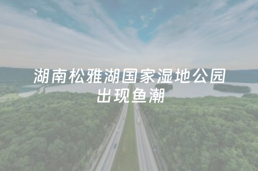 胜率设置方法“飞针麻将有什么破绽”（详细透视教程）-哔哩哔哩