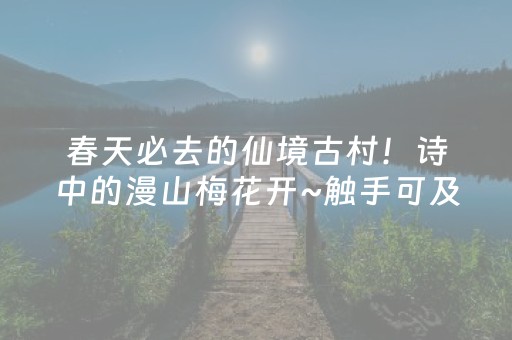 必看教程“手机三公报牌神器（专用辅牌神器免安装）