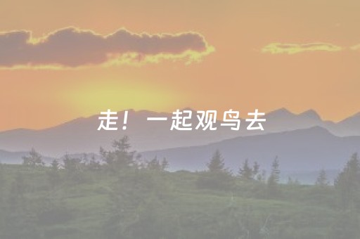 走！一起观鸟去