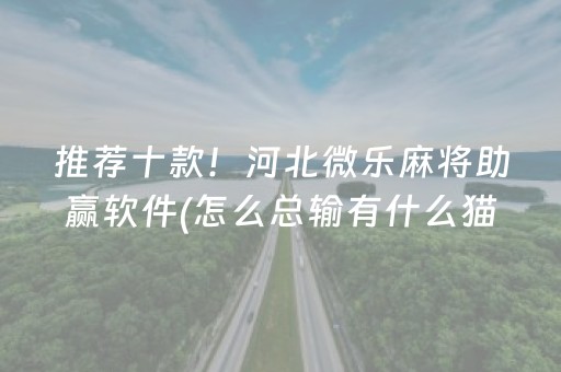 推荐十款！河北微乐麻将助赢软件(怎么总输有什么猫腻)