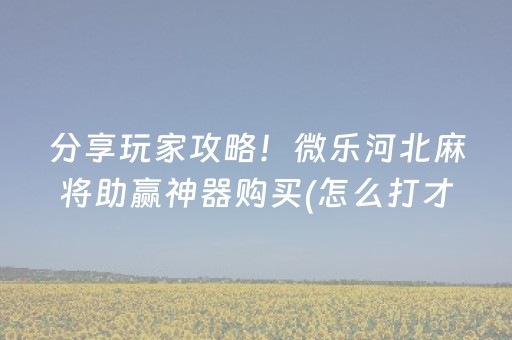 分享玩家攻略！微乐河北麻将助赢神器购买(怎么打才能赢)
