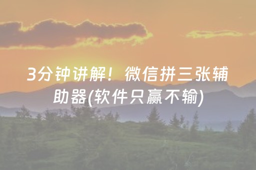 3分钟讲解！微信拼三张辅助器(软件只赢不输)