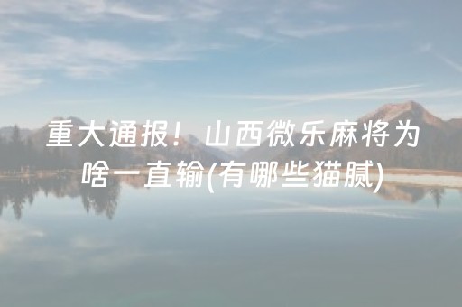 实测分享“微信红包避雷发11个包控制尾 数”（详细透视教程）-哔哩哔哩