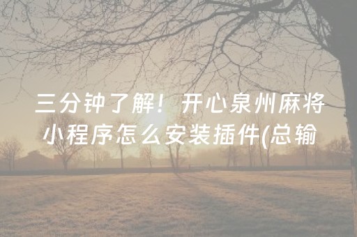 三分钟了解！开心泉州麻将小程序怎么安装插件(总输怎么回事)