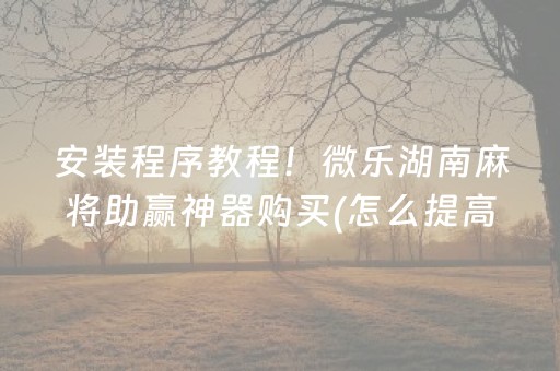 安装程序教程！微乐湖南麻将助赢神器购买(怎么提高好牌率)