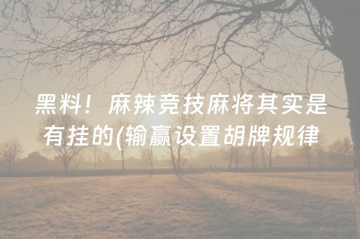 黑料！麻辣竞技麻将其实是有挂的(输赢设置胡牌规律)