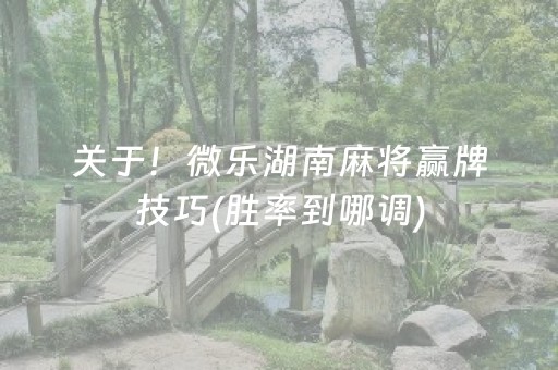 关于！微乐湖南麻将赢牌技巧(胜率到哪调)