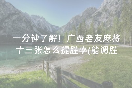 一分钟了解！广西老友麻将十三张怎么提胜率(能调胜率吗)