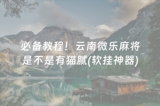 必备教程！云南微乐麻将是不是有猫腻(软挂神器)