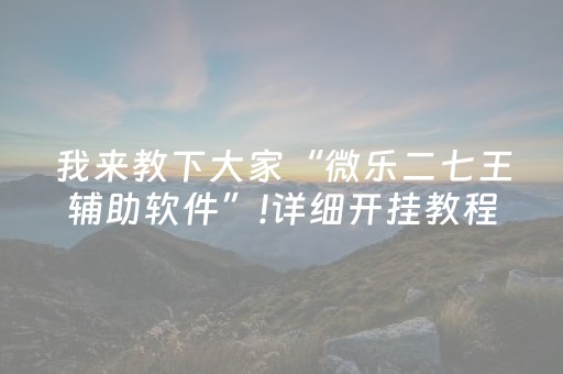 我来教大家“家乡大贰辅助器（专用辅牌神器免安装）