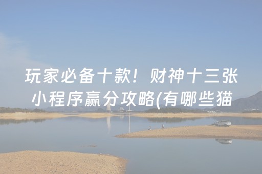 分享辅助“手机红中麻将专用器（专用辅牌神器免安装）
