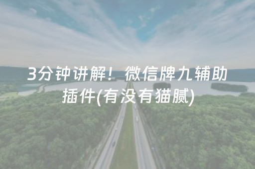 我来教大家“小程序麻将怎么设置才能赢（助赢神器通用版）