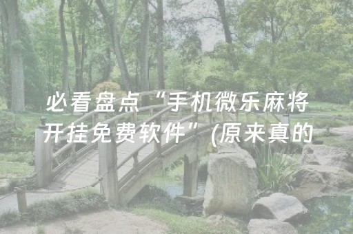 必看盘点“手机微乐麻将开挂免费软件”(原来真的有挂)-抖音