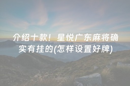 介绍十款！星悦广东麻将确实有挂的(怎样设置好牌)
