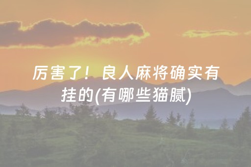 厉害了！良人麻将确实有挂的(有哪些猫腻)