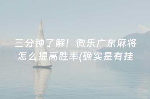 三分钟了解！微乐广东麻将怎么提高胜率(确实是有挂)