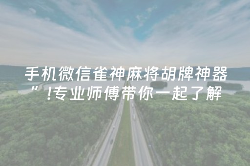 手机微信雀神麻将胡牌神器”!专业师傅带你一起了解（详细教程）-抖音