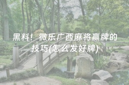 今日盘点“微乐河北麻将容易胡牌的技巧”（详细辅助教程）-哔哩哔哩