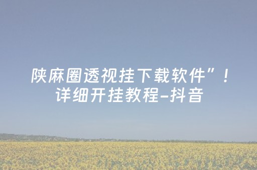 陕麻圈透视挂下载软件”!详细开挂教程-抖音