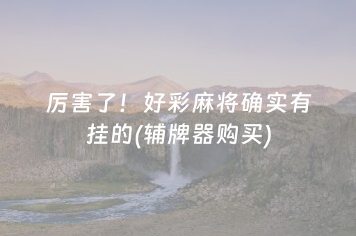 厉害了！好彩麻将确实有挂的(辅牌器购买)