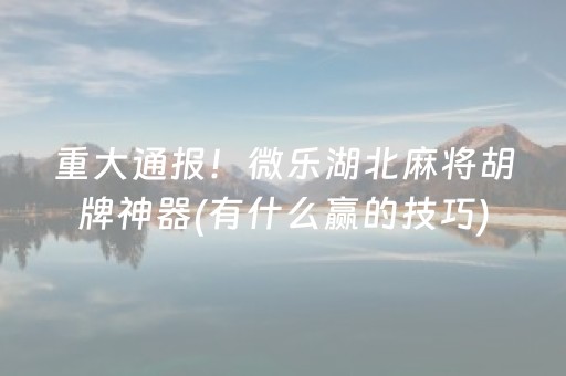 重大通报！微乐湖北麻将胡牌神器(有什么赢的技巧)
