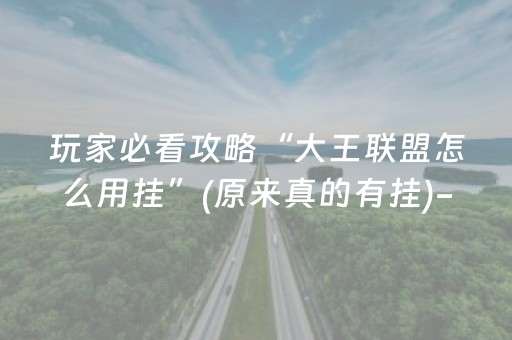 玩家必看攻略“大王联盟怎么用挂”(原来真的有挂)-抖音