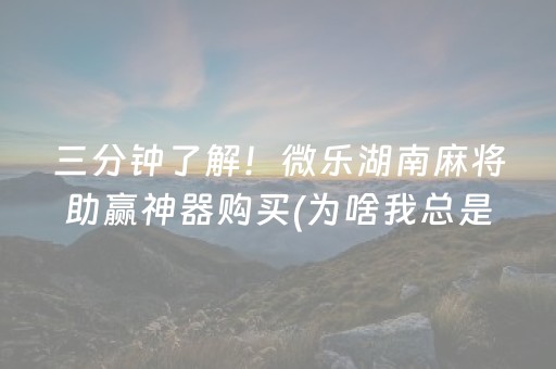 三分钟了解！微乐湖南麻将助赢神器购买(为啥我总是输)