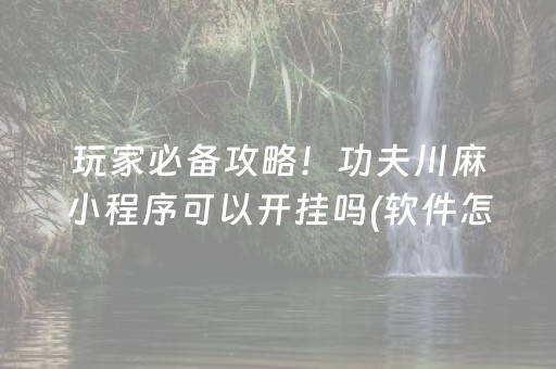玩家必备攻略！功夫川麻小程序可以开挂吗(软件怎么打赢)