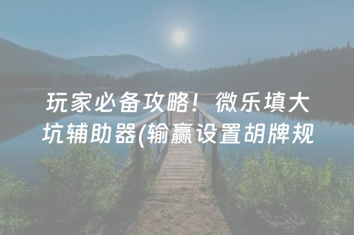玩家必备攻略！微乐填大坑辅助器(输赢设置胡牌规律)