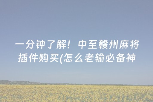 一分钟了解！中至赣州麻将插件购买(怎么老输必备神器)