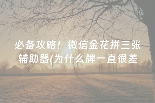 分享辅助“广东雀神麻雀辅助器免费安装”（详细透视教程）-哔哩哔哩