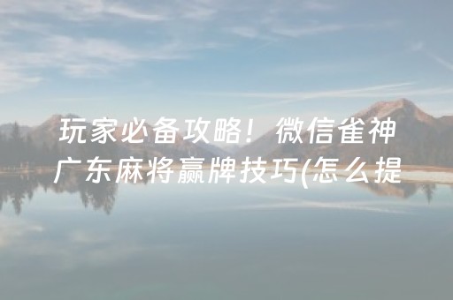 玩家必备攻略！微信雀神广东麻将赢牌技巧(怎么提手拿好牌)