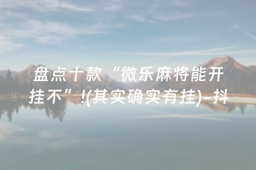 盘点十款“微乐麻将能开挂不”!(其实确实有挂)-抖音