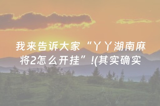 实测教程“中至赣州辅助器下载（专用辅牌神器免安装）