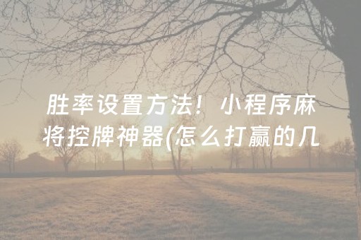 胜率设置方法！小程序麻将控牌神器(怎么打赢的几率大)