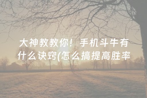 大神教教你！手机斗牛有什么诀窍(怎么搞提高胜率)