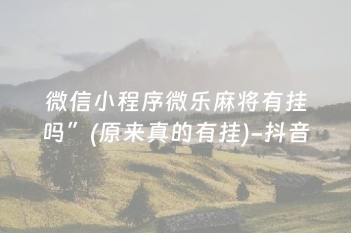 玩家实测“手机斗地主外挂（助赢神器通用版）