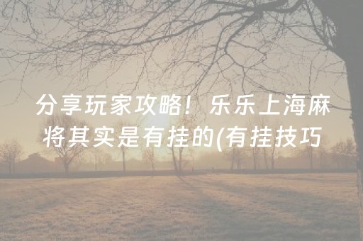 分享玩家攻略！乐乐上海麻将其实是有挂的(有挂技巧辅助器)