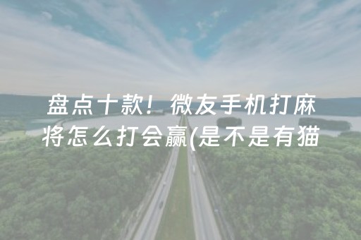 盘点十款！微友手机打麻将怎么打会赢(是不是有猫腻)