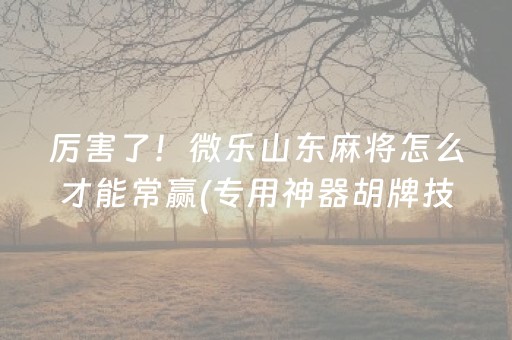 终于发现了“玩家红包避雷挂免费版”（详细透视教程）-哔哩哔哩