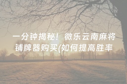 一分钟揭秘！微乐云南麻将铺牌器购买(如何提高胜率)