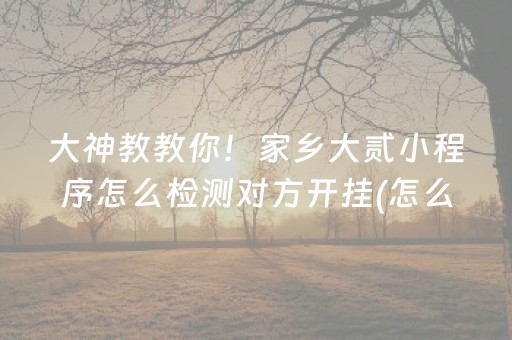 大神教教你！家乡大贰小程序怎么检测对方开挂(怎么打系统才能给好牌)