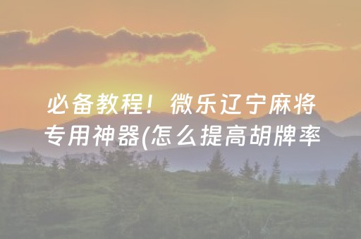 必备教程！微乐辽宁麻将专用神器(怎么提高胡牌率)