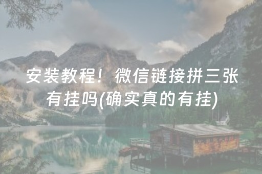 新版本“陕麻圈捉老麻辅助器”（详细透视教程）-哔哩哔哩