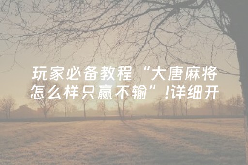 玩家必备教程“大唐麻将怎么样只赢不输”!详细开挂教程-抖音