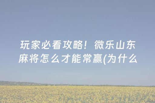 终于懂了“微信微乐保皇助赢神器”（是否能开挂)