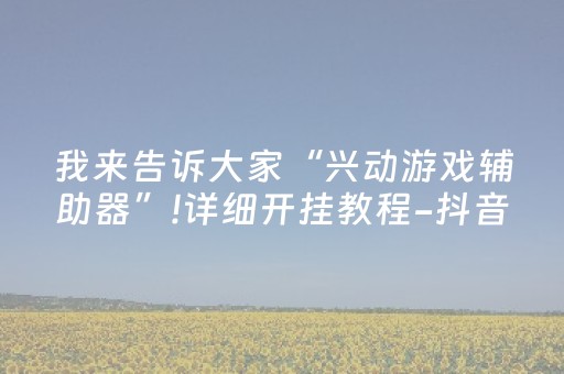 我来告诉大家“兴动游戏辅助器”!详细开挂教程-抖音